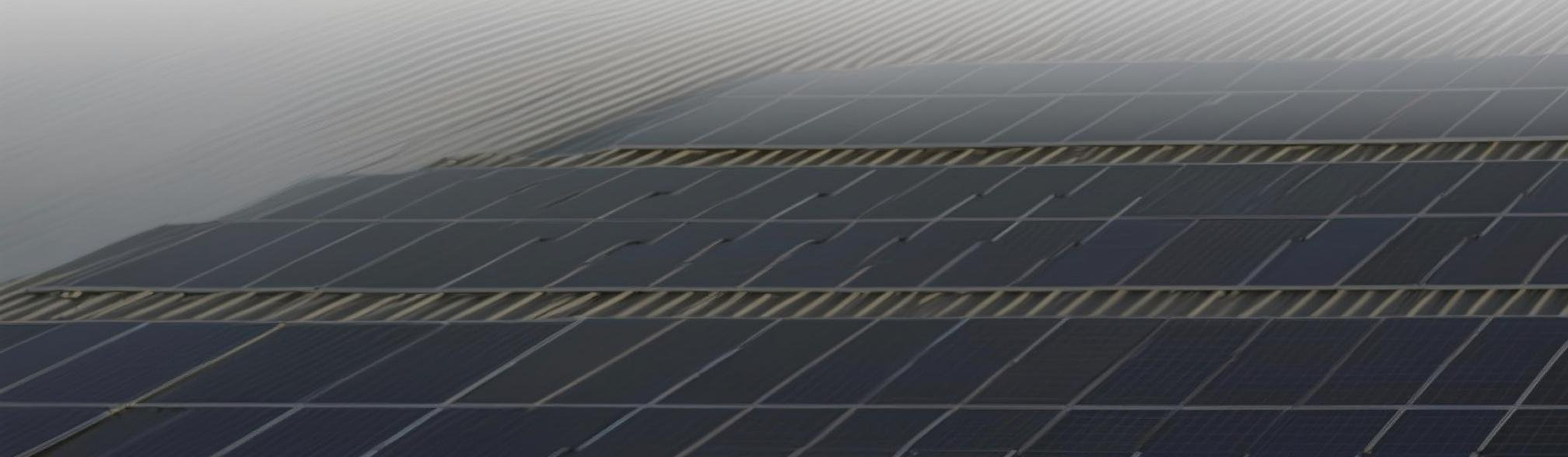 About Hieren Background